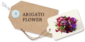 ARIGATO FLOWER